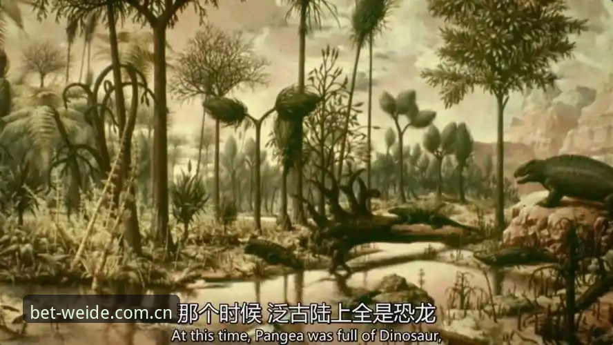 伟德体育世界杯投注中文官方主页CN站 索斯盖特为何选择现在拍一部关于年轻男性的纪录片?